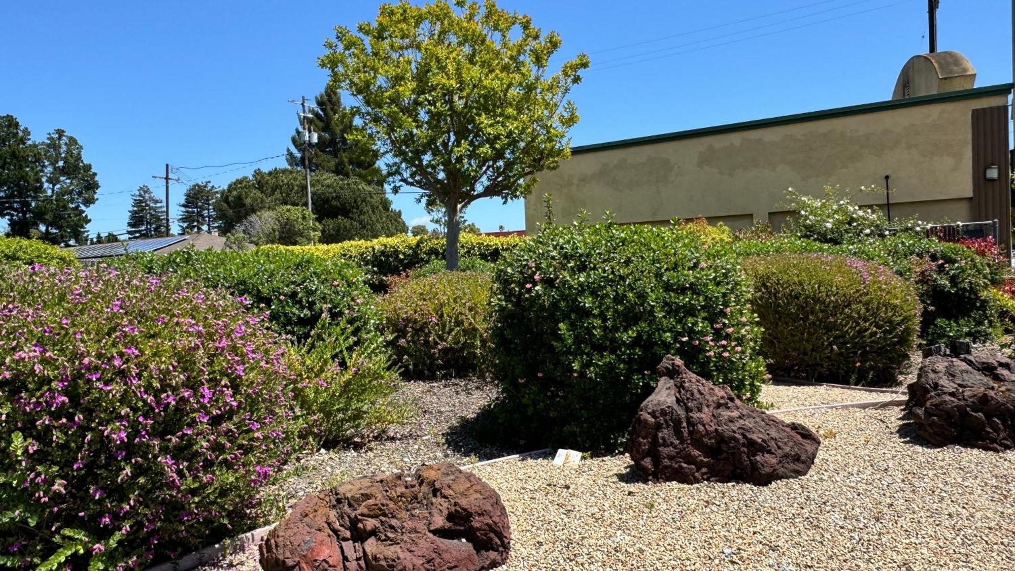 Hitching Post Studios Inn Santa Cruz Esterno foto